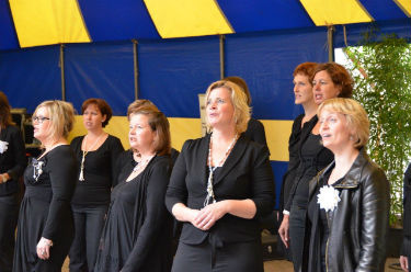 Lichtenberg Experience Weert 2013